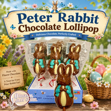 Load image into Gallery viewer, Peter Rabbit Chocolate Lollipop