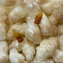 Load image into Gallery viewer, Freeze Dried Cola Bottles