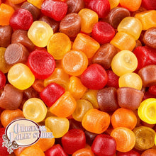 Load image into Gallery viewer, Squirrel Floral Gums