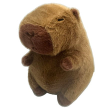 Load image into Gallery viewer, Choice of Free Gift for orders $100 or more