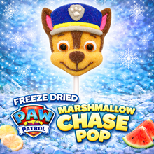 Load image into Gallery viewer, Freeze Dried Paw Patrol Marshmallow Pop
