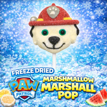 Load image into Gallery viewer, Freeze Dried Paw Patrol Marshmallow Pop