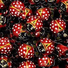 Load image into Gallery viewer, Foiled Chocolate Ladybirds - Storz