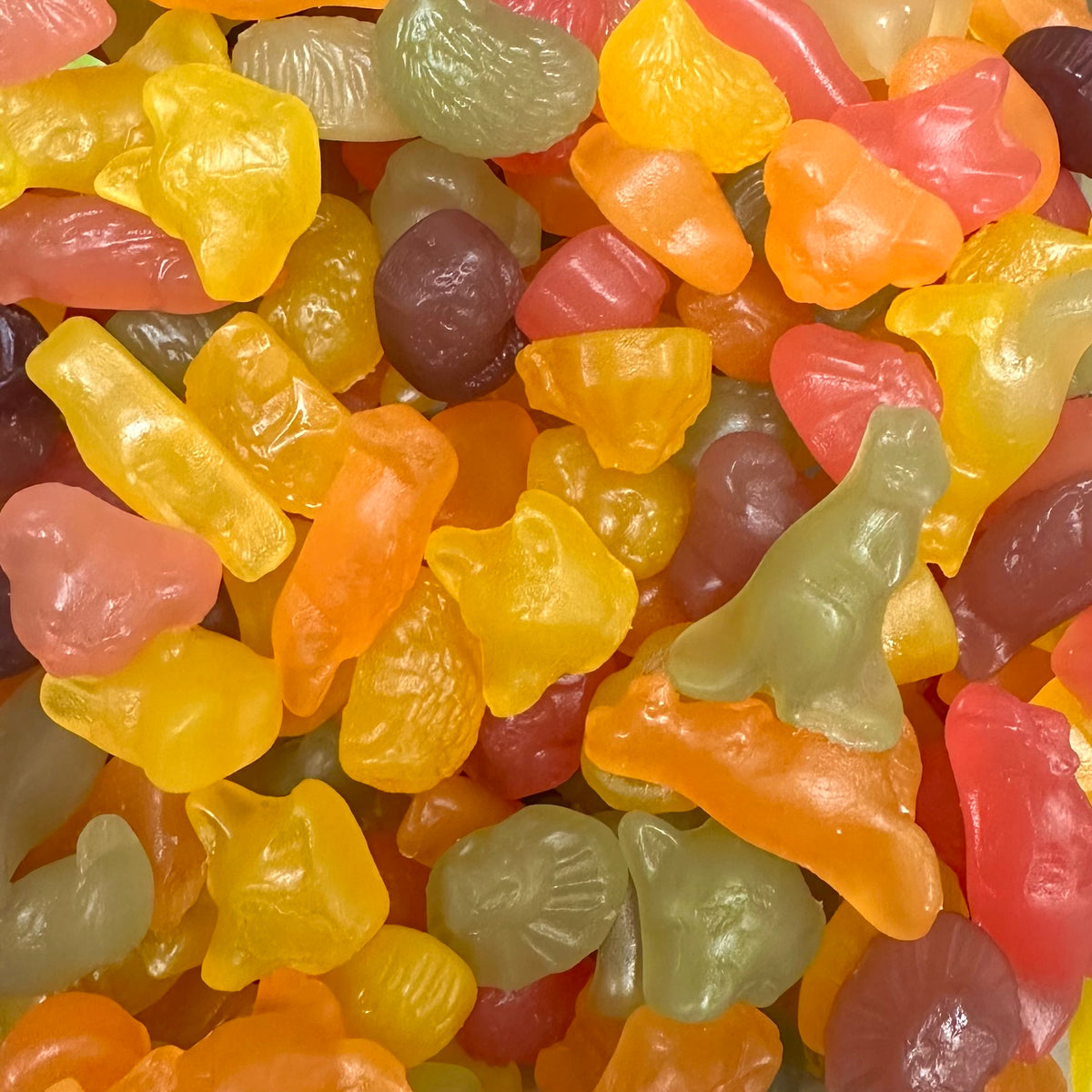 Aussie Animal Vegan Gummies – The Original Lolly Store