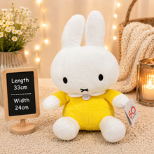 Load image into Gallery viewer, Miffy
