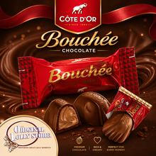 Load image into Gallery viewer, Côte d'Or Bouchée Chocolate
