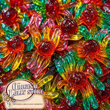 Load image into Gallery viewer, Gummy Octopus - Trolli
