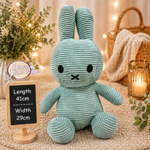 Load image into Gallery viewer, Miffy
