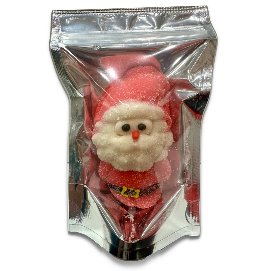 Freeze Dried Christmas Marshmallow