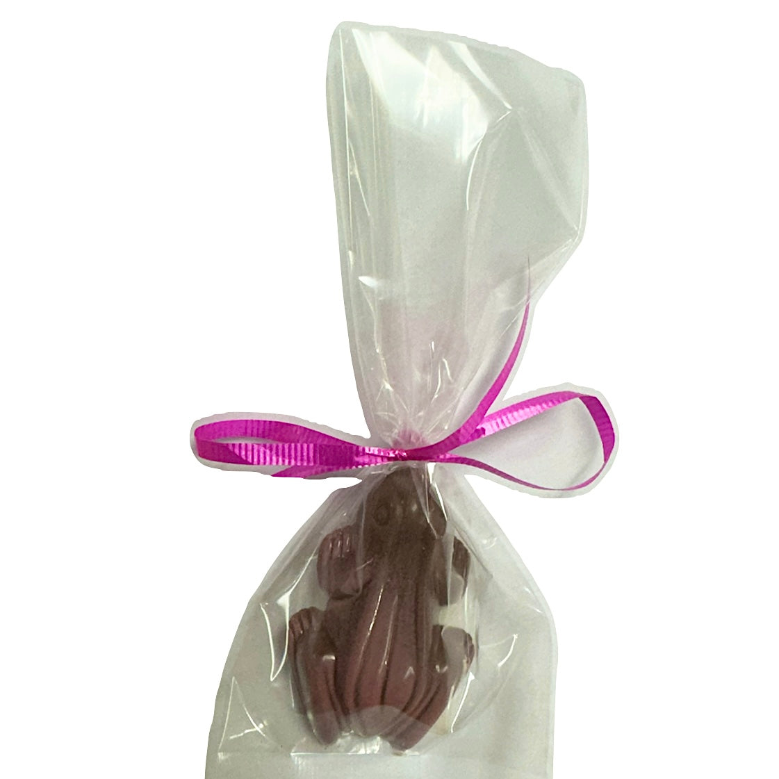 Raspberry Frog - (Belgian Chocolate) – The Original Lolly Store