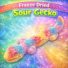Load image into Gallery viewer, Freeze Dried Large Sour Gecko - Trolli
