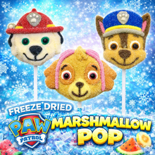 Load image into Gallery viewer, Freeze Dried Paw Patrol Marshmallow Pop
