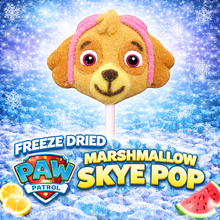 Load image into Gallery viewer, Freeze Dried Paw Patrol Marshmallow Pop
