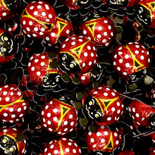 Load image into Gallery viewer, Foiled Chocolate Ladybirds - Storz
